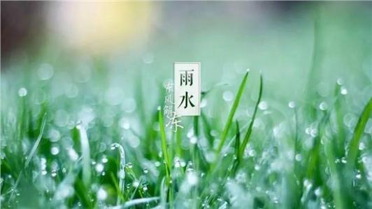 今日雨水|春雨至，万物生